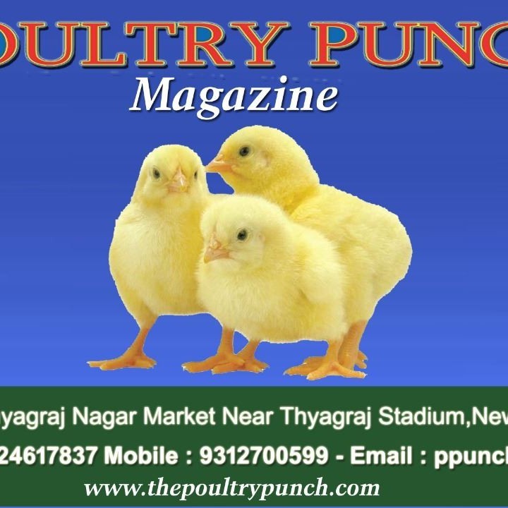 Poultry Punch