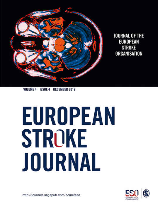 European Stroke Journal