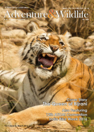 Adventure & Wildlife