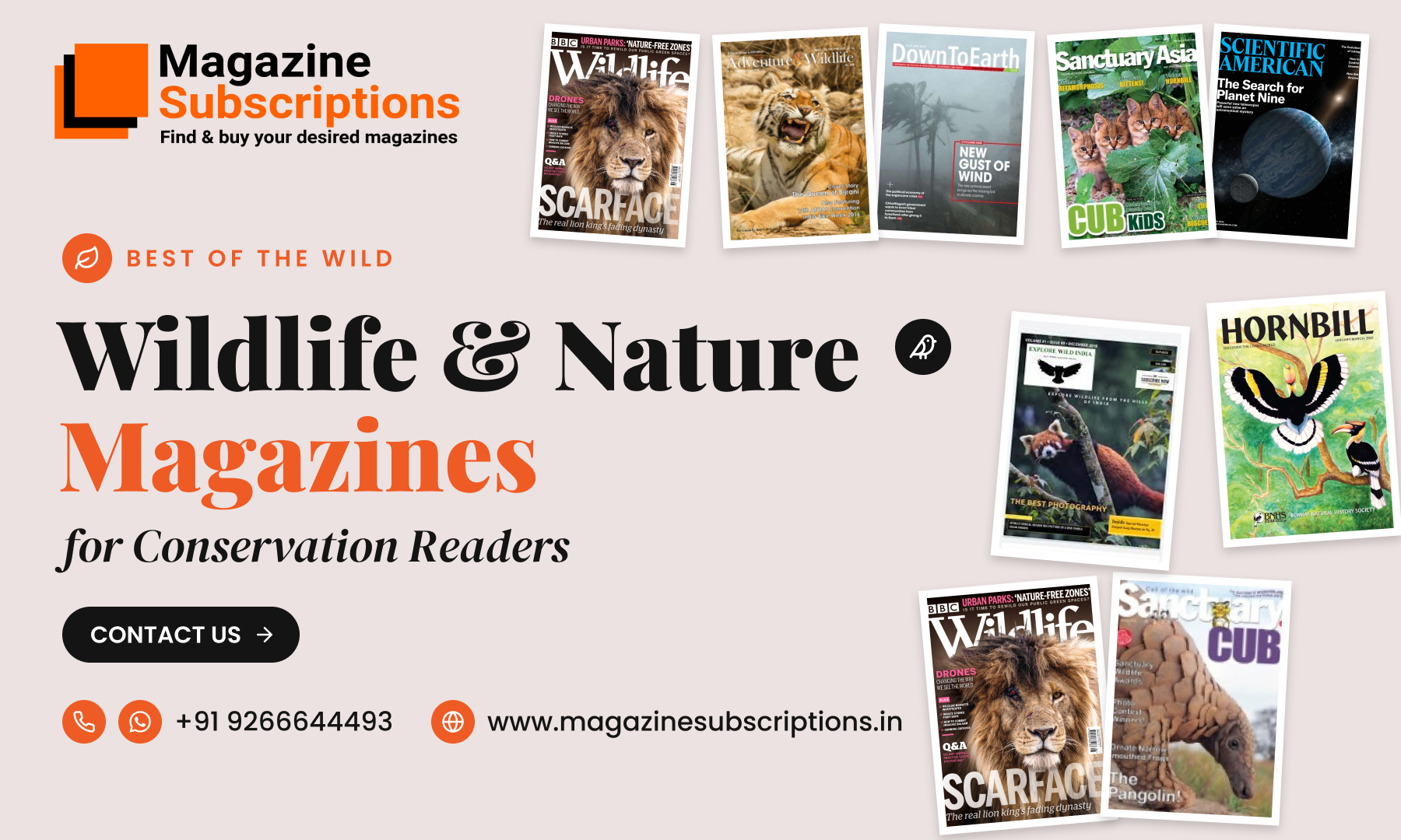 Best Wildlife and Nature Magazines for Conservation Readers