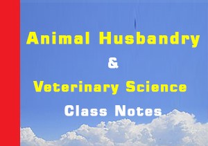 Animal Husbandry and Veterinary Sciences