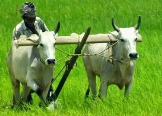 Agriculture