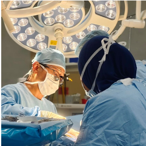 Clinical Medicine - Vascular and Surgery