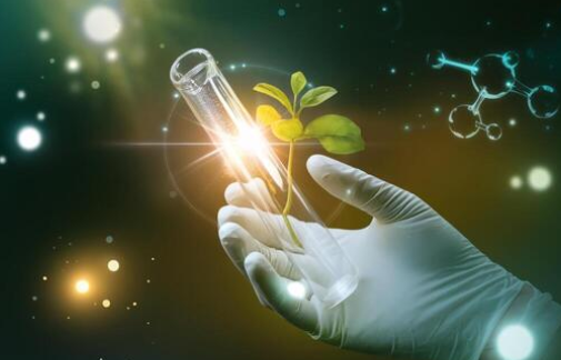 Life Science and Biotechnology