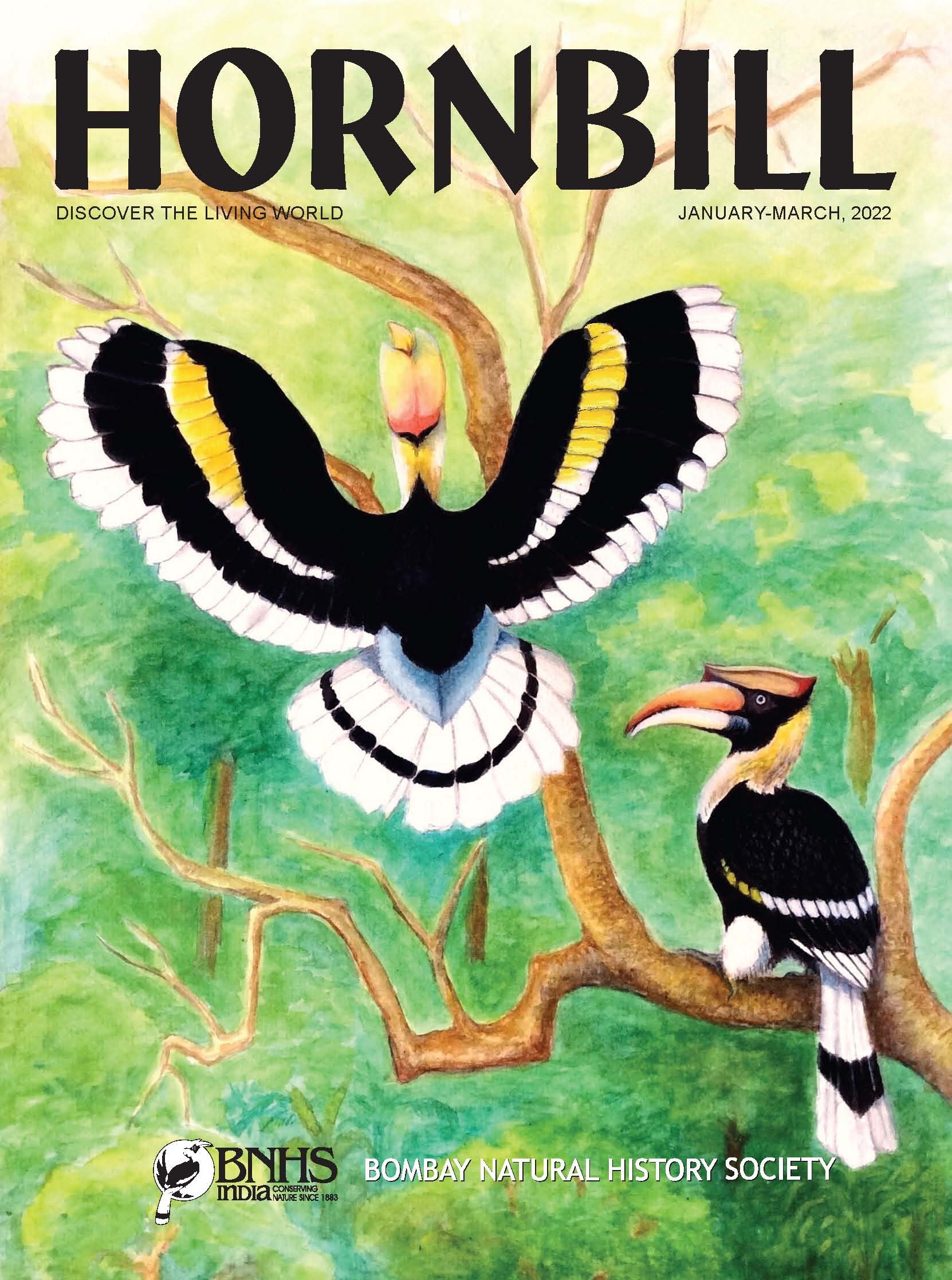 Hornbill Magazine
