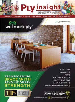 Ply insight magazine