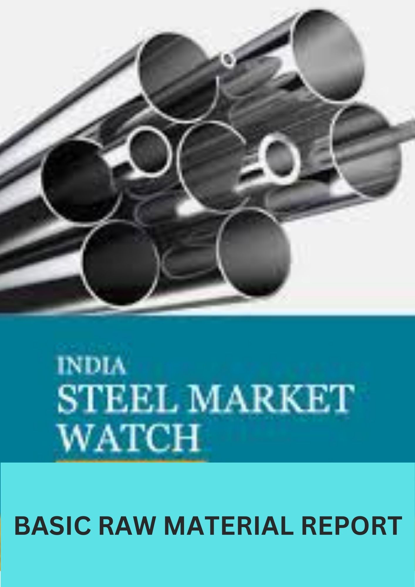 India Steel Market Watch, Weekly Basic Raw Material