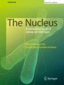 The Nucleus